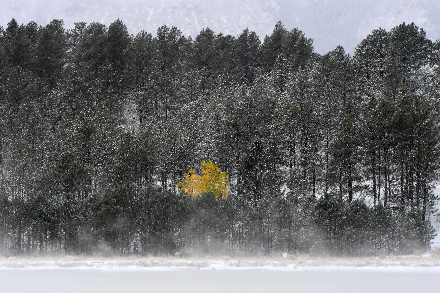 101119-news-weather 239 .jpg